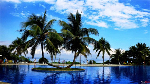 九龙冰室茶餐厅