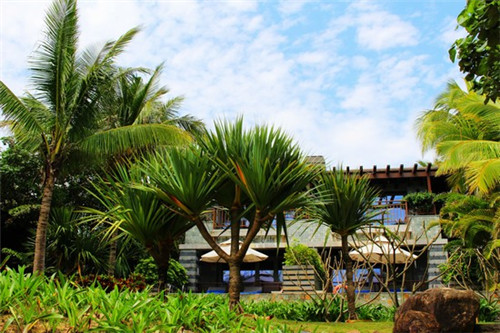 创业宠物店需要什么，找宠物店创业准备什么资料