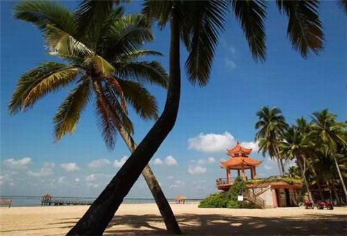 怎么设置快手音乐分类（快手怎么把音乐设置成自己的音乐）