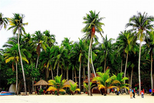 inory是什么意思（iny这是什么意思）