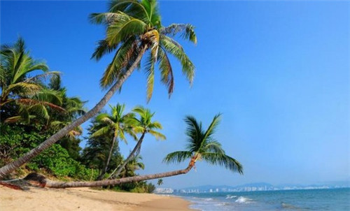 准备开公司怎么起名字（想开公司名字怎么起名）