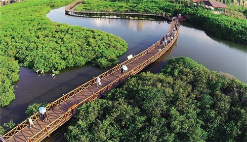 202025年春节还敢旅游吗（2021春节期间还能旅游吗）