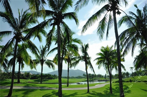 魏桥创业集团2024年销售收入（魏桥创业集团市值多少）