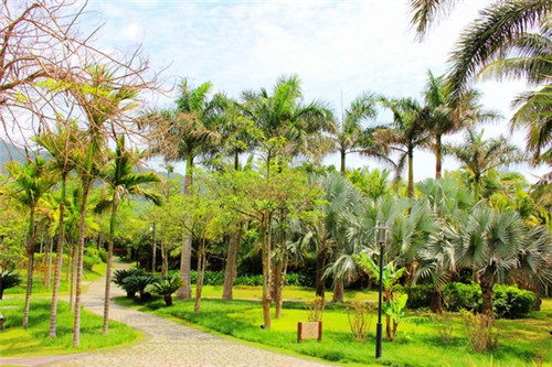 颂字起名字如何起好（颂字起男孩名好不）