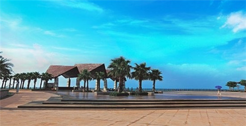 高数答案在哪里找（哪里能搜到高数答案）